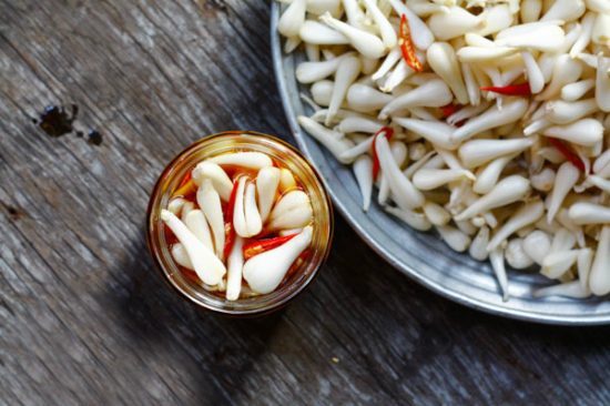 du lịch miền bắc tết 2018