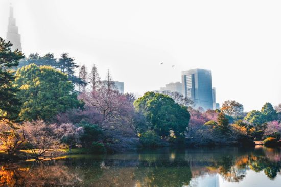 du lịch nhật bản và những kinh nghiệm cần biết