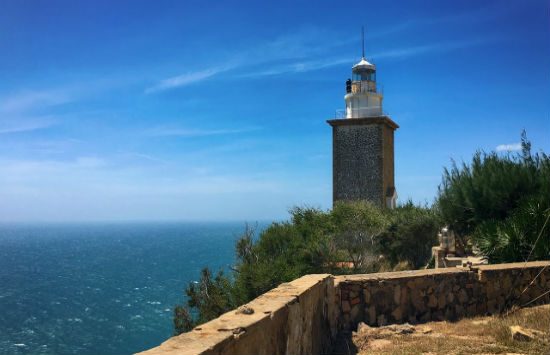 cẩm nang du lịch ninh thuận từ a đến z