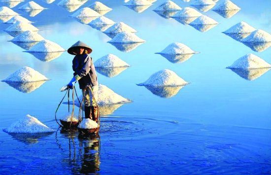 du lịch quảng ngãi đến các điểm du lịch hấp dẫn 