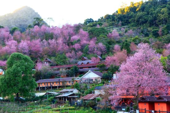 tư vấn kinh nghiệm du lịch thái lan tết 2018