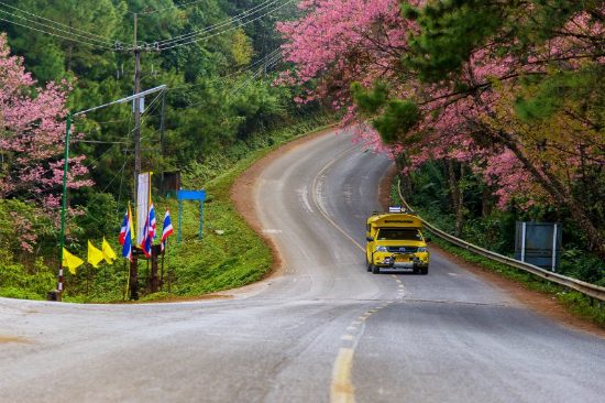 du lịch thái lan tháng 2 giá rẻ
