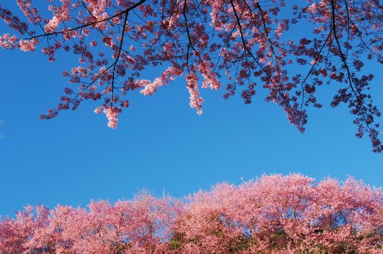 lịch trình du lịch thái lan