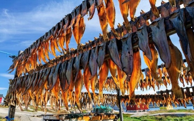 kinh nghiệm du lịch Phú Quý