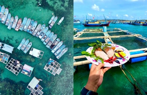 kinh nghiệm du lịch Phú Quý