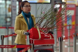 Phí vận chuyển mai, đào các hãng dịp Tết Mậu Tuất