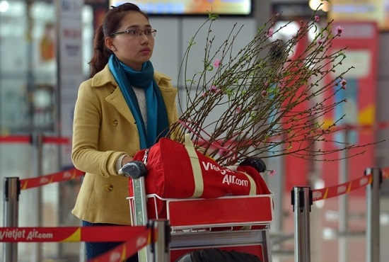 vận chuyển mai đ&agrave;o dịp tết