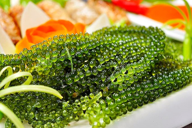 kinh nghiệm du lịch Phú Quý