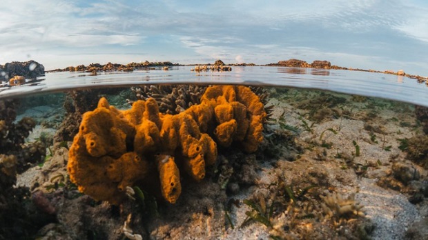 kinh nghiệm du lịch Phú Quý