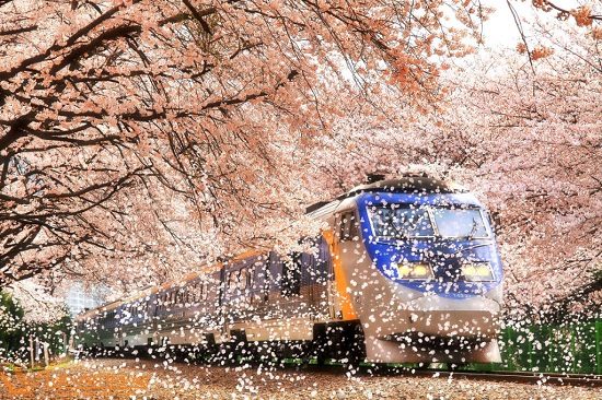 thủ tục l&agrave;m visa đi h&agrave;n quốc du lịch