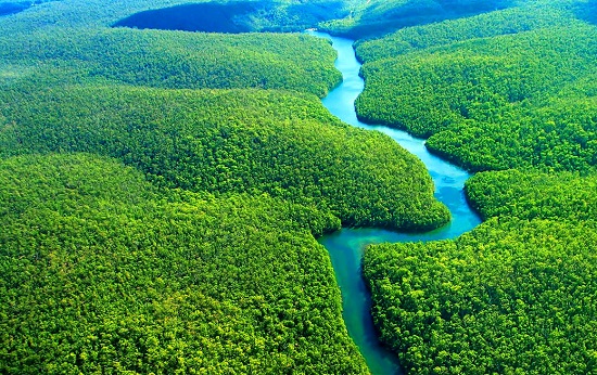 v&eacute; m&aacute;y bay từ đ&agrave; nẵng đi brazil