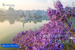 Vé máy bay đi Đà Lạt tháng 3, ghé thăm xứ ngàn hoa mùa phượng tím