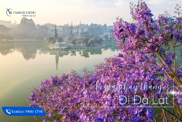 Vé máy bay đi Đà Lạt tháng 3