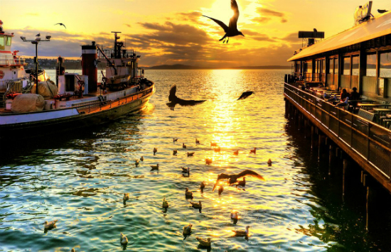 đặt vé máy bay giá rẻ từ đà nẵng đi Detroit