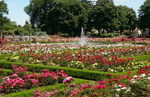 Vé máy bay từ Đà Nẵng đi Portland