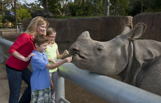 mua vé máy bay giá tốt từ đà nẵng đi San Diego