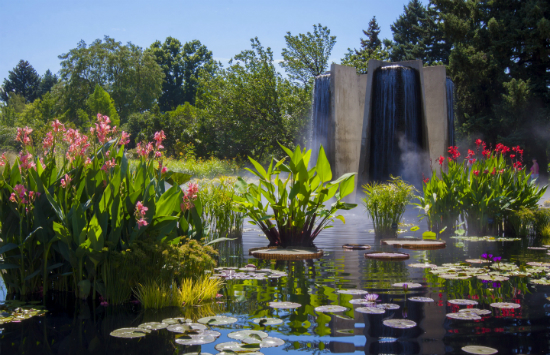 book vé máy bay giá rẻ từ đà nẵng đi denver