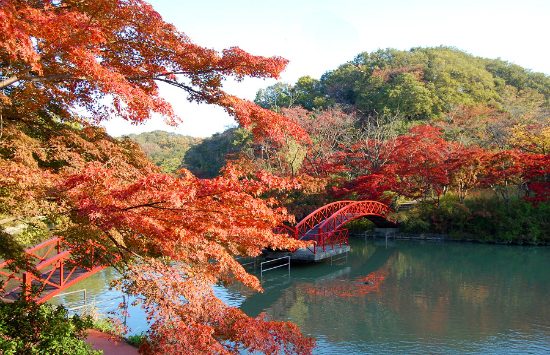 đặt vé máy bay từ đà nẵng đi hiroshima giá rẻ nhất