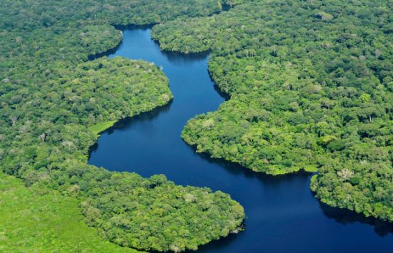 hồ sơ xin visa đi brazil