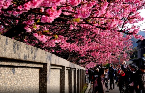 visa đi đ&agrave;i loan du lịch