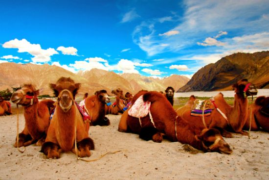 hồ sơ xin visa đi dubai du lịch