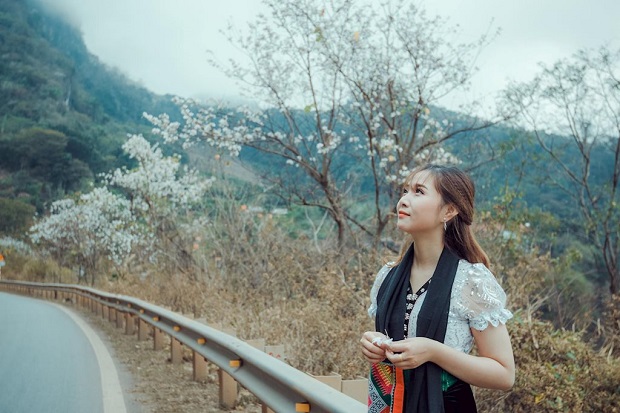 dien bien mua hoa ban trang