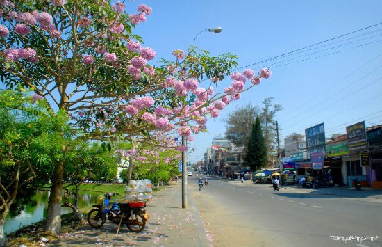 cẩm nang du lịch bảo lộc