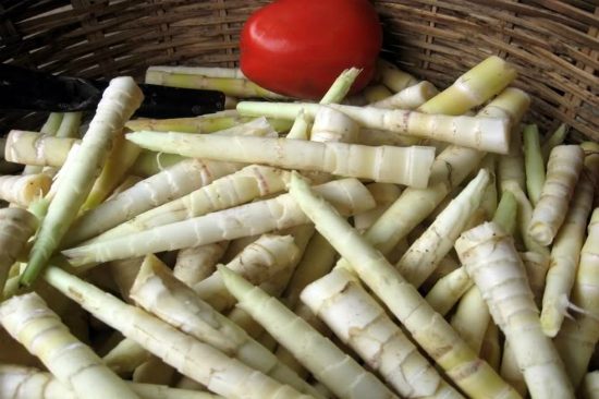 du lịch buôn ma thuột có gì hấp dẫn