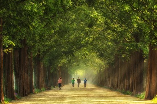 tư vấn du lịch hàn quốc 2 người