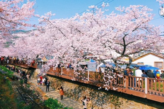 đặt vé tour du lịch hàn quốc tháng 3