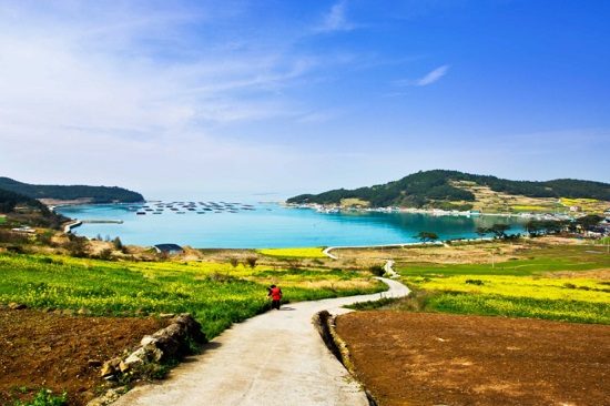 tư vấn kinh nghiệm đi du lịch hàn quốc