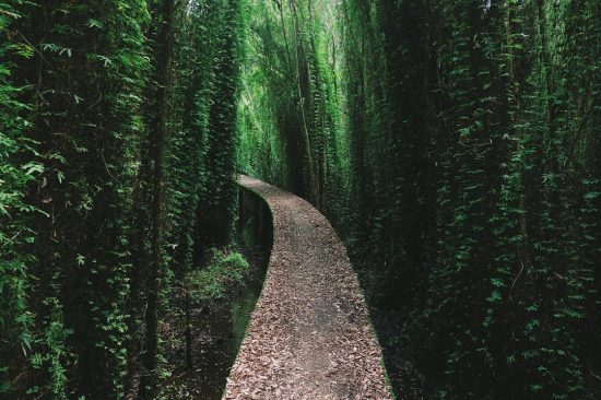 book vé máy bay giá rẻ nhất đi sài gòn