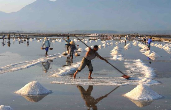 cẩm nang du lịch nha trang 