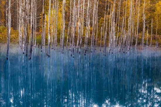 du lịch nhật bản đi đâu chơi gì