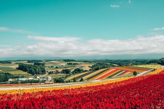 địa điểm du lịch hokkaido nhât bản