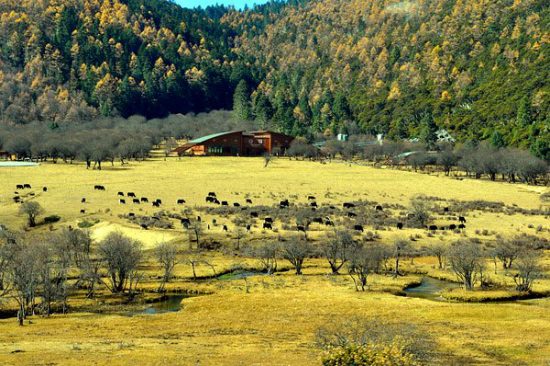 nên đi du lịch trung quốc thời gian nào