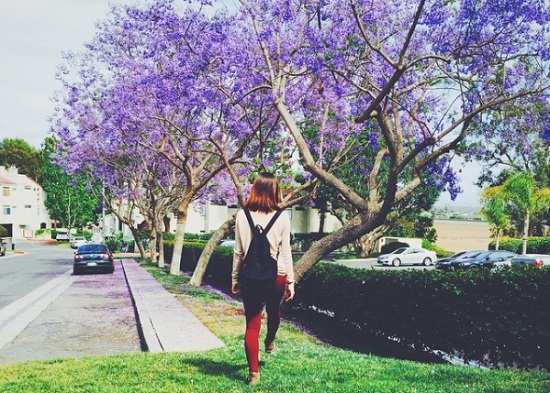 vé máy bay đi đà lạt