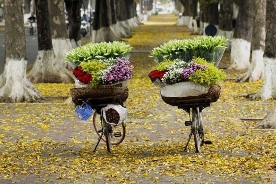 Dắt tay nhau ra Hà Nội ngắm những mùa hoa mùa hè này