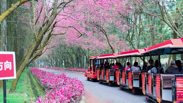 Fomorsan dia diem du lịch đài loan