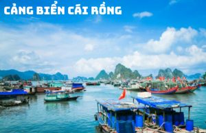 Tour Cô Tô – Cảng Cái Rồng 3N2Đ: Hành Trình Khám Phá Đảo Ngọc Vẻ Đẹp Bãi Đá Móng Rồng