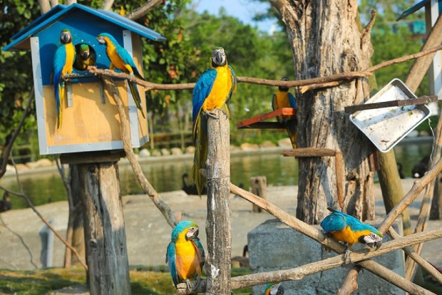 Wanpi World Safari Zoo dia diem du lịch đài loan