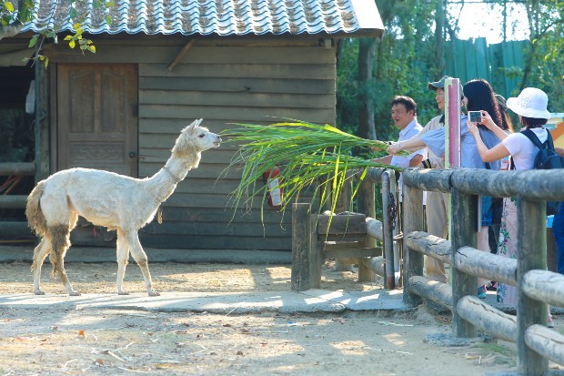 Wanpi World Safari Zoo dia diem du lịch đài loan