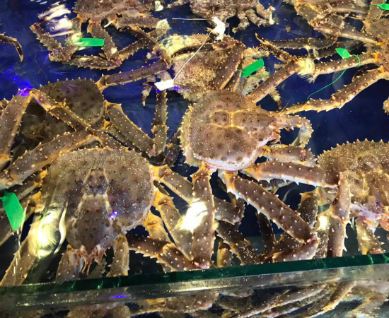 Review Đà Nẵng - Tour Hội An Bà Nà Núi thần tài