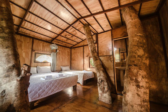 dat phong homestay gia re