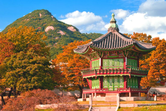 Vẻ đẹp thiên nhiên mùa thu Hàn Quốc làm say lòng du khách