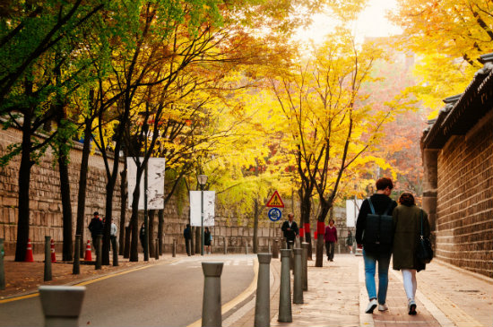10 cảnh mùa thu đẹp nhất ở Hàn Quốc để bạn chiêm ngưỡng và có những bức ảnh  để đời