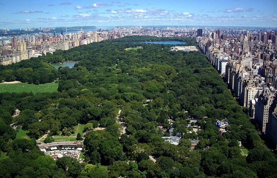 khach san new york giam gia