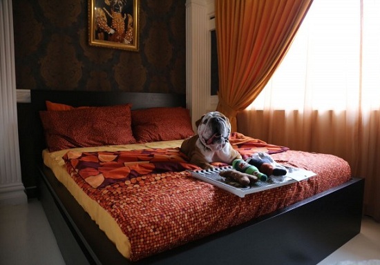 san khach san singapore re