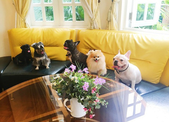 gia phong khach san singapore 3 sao