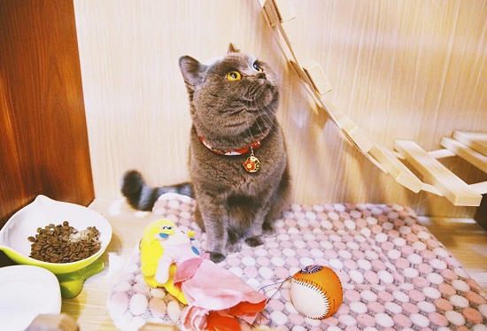 san khach san singapore re nhat